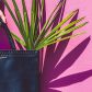 007- Nou Mele - nouvelle collection de Pascale Theard -2R6A3744.jpg