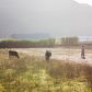 Albanie-Agriculture-Tirana-Bio-01.jpg