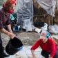 Albanie-Agriculture-Tirana-Bio-13.jpg