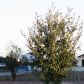 Albanie-Agriculture-Tirana-Bio-06.jpg