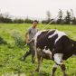 utique-ferme-bio-tunisie-10.jpg