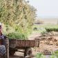 utique-ferme-bio-tunisie-21.jpg