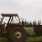 utique-ferme-bio-tunisie-2.jpg