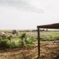 utique-ferme-bio-tunisie-6.jpg